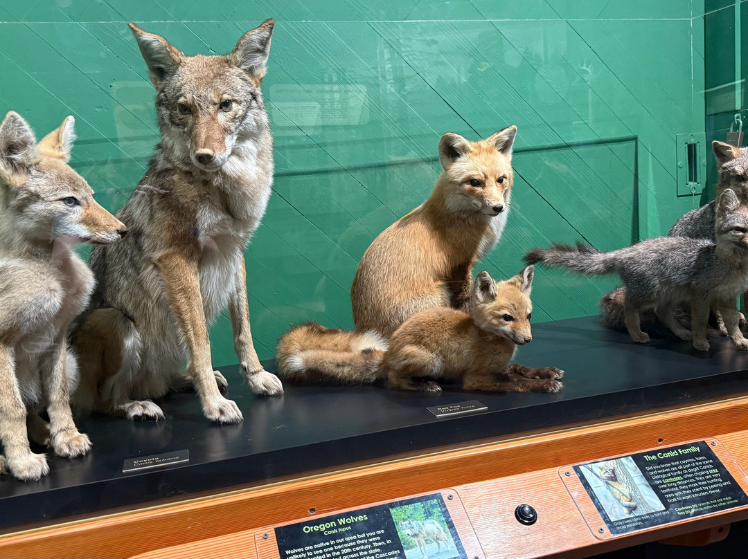 Douglas County Museum of Natural & Cultural History-罗斯堡必去景点