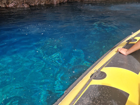 Up Mountain Madeira-沙尔必去景点