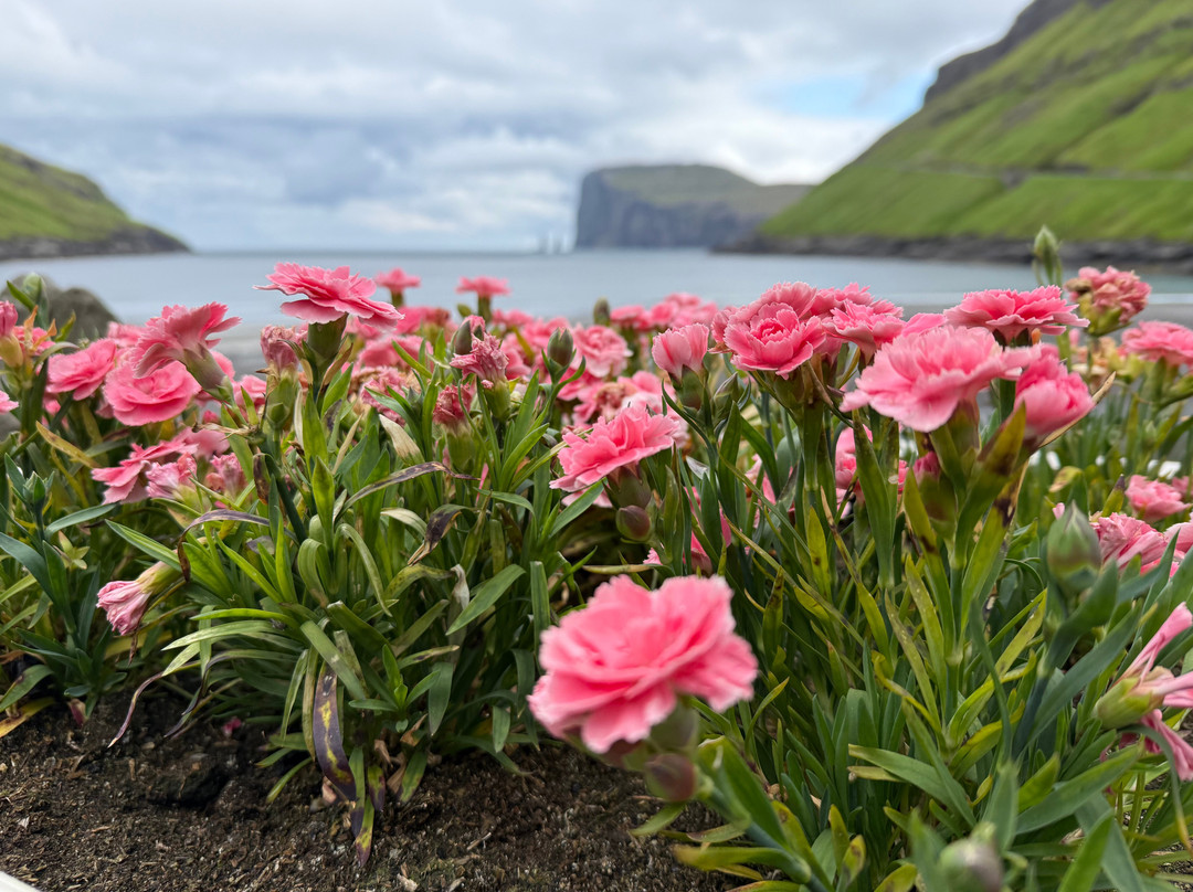 Tjornuvik Beach-Tjornuvik必去景点
