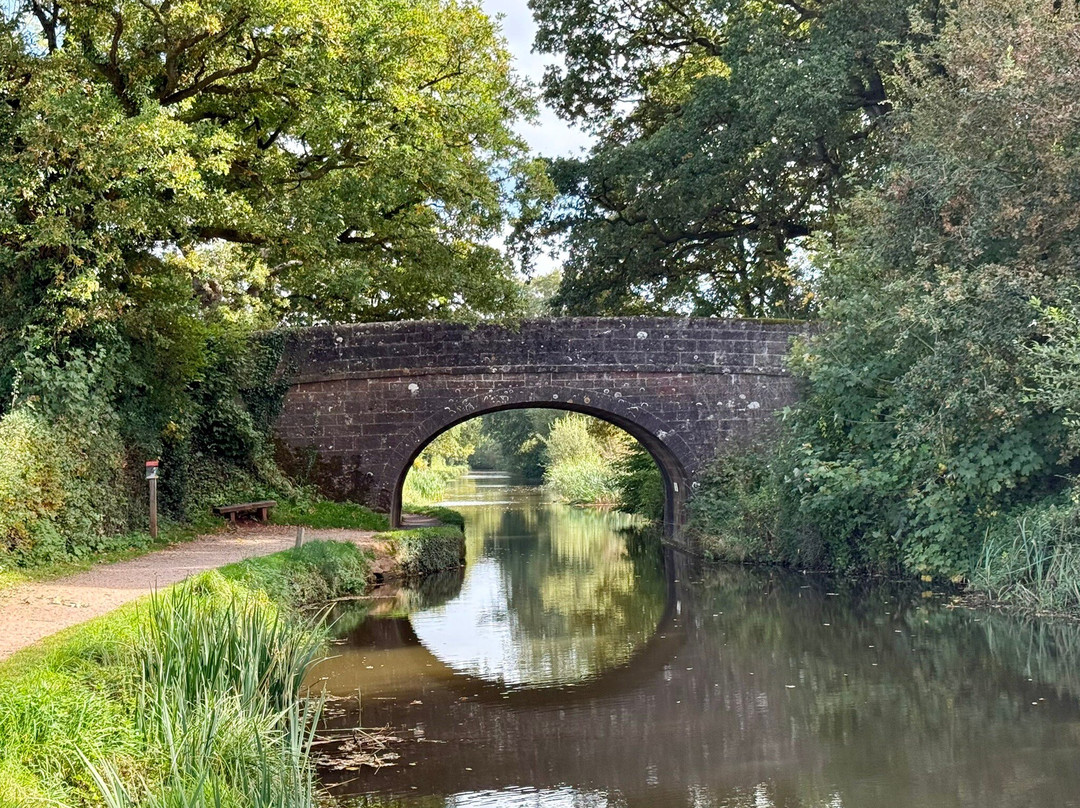 Grand Western Canal-蒂弗顿必去景点