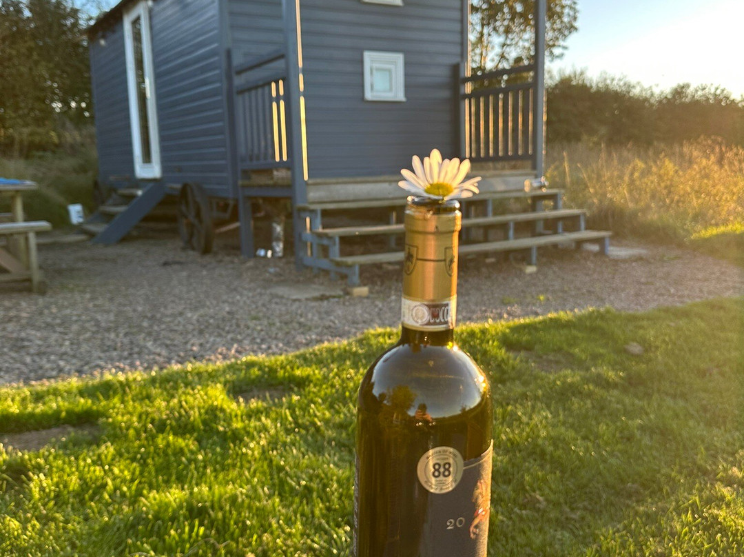 Westfield House Farm Bed and Breakfast主图