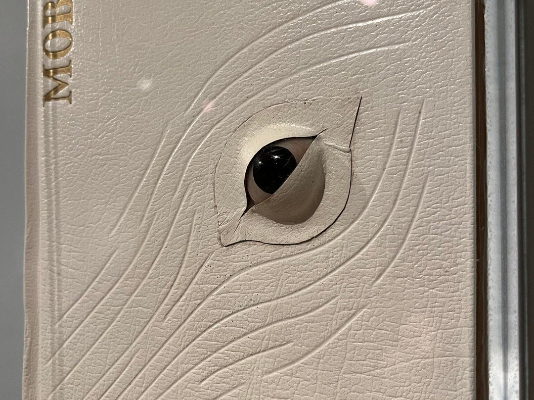 皮博迪埃塞克斯博物馆-塞勒姆必去景点