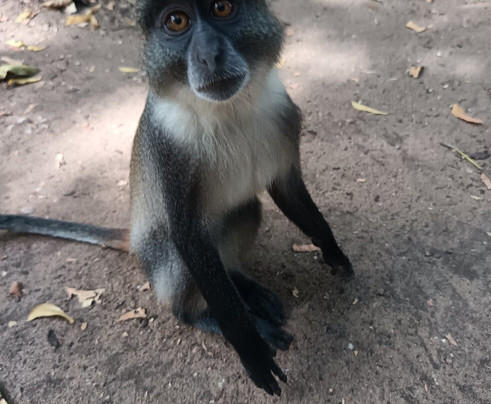 Filippo Bassa Marea-瓦塔木必去景点