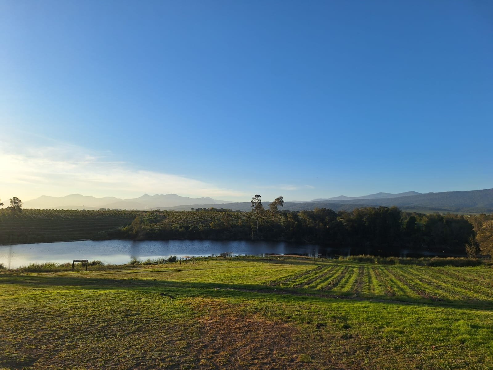 Portland Manor-官方