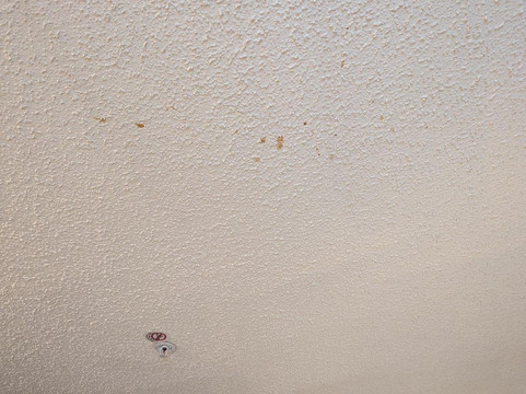 Extended Stay America - El Paso - Airport主图