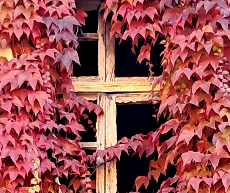 A Spasso per Bene Vagienna-Bene Vagienna必去景点