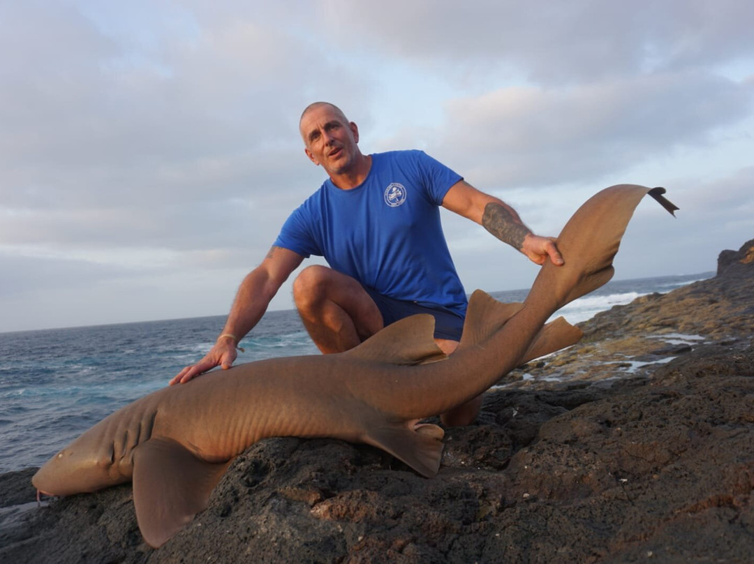 Inshore Experience - Fishing Cape Verde-圣塔玛丽亚必去景点