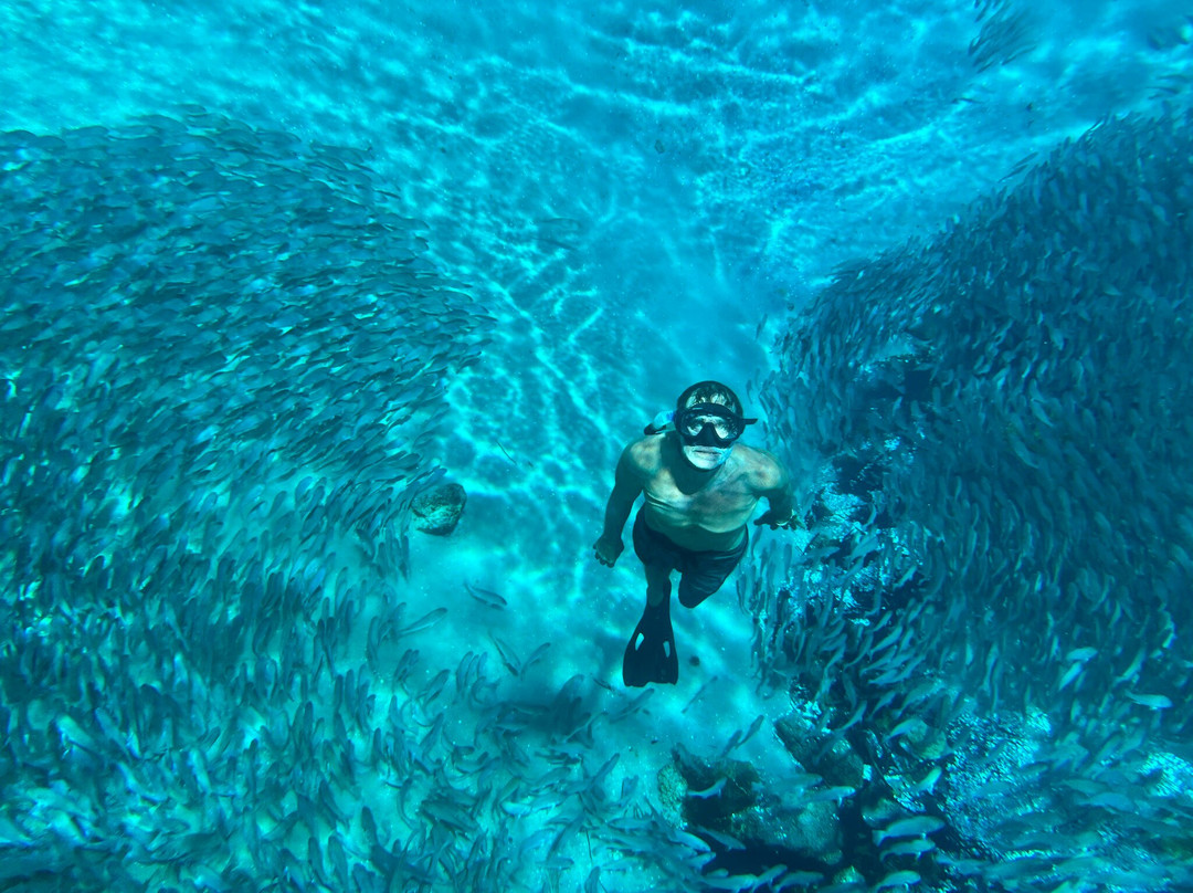 Silver Glen Springs Recreation Area-Salt Springs必去景点