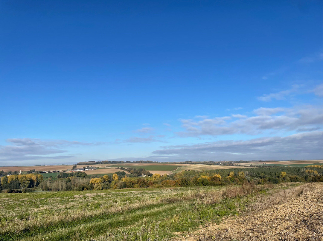 Ulster Memorial Tower & Thiepval Wood-Thiepval必去景点