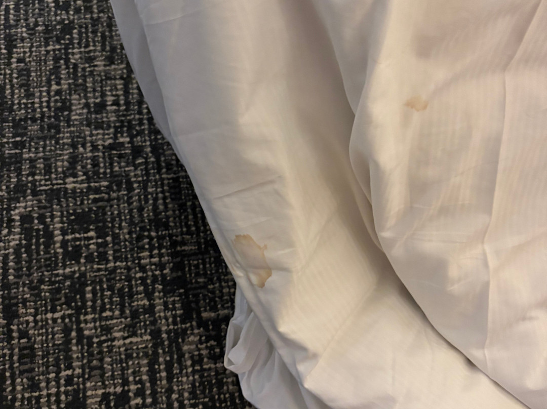 the Alloy King of Prussia - a DoubleTree by Hilton主图