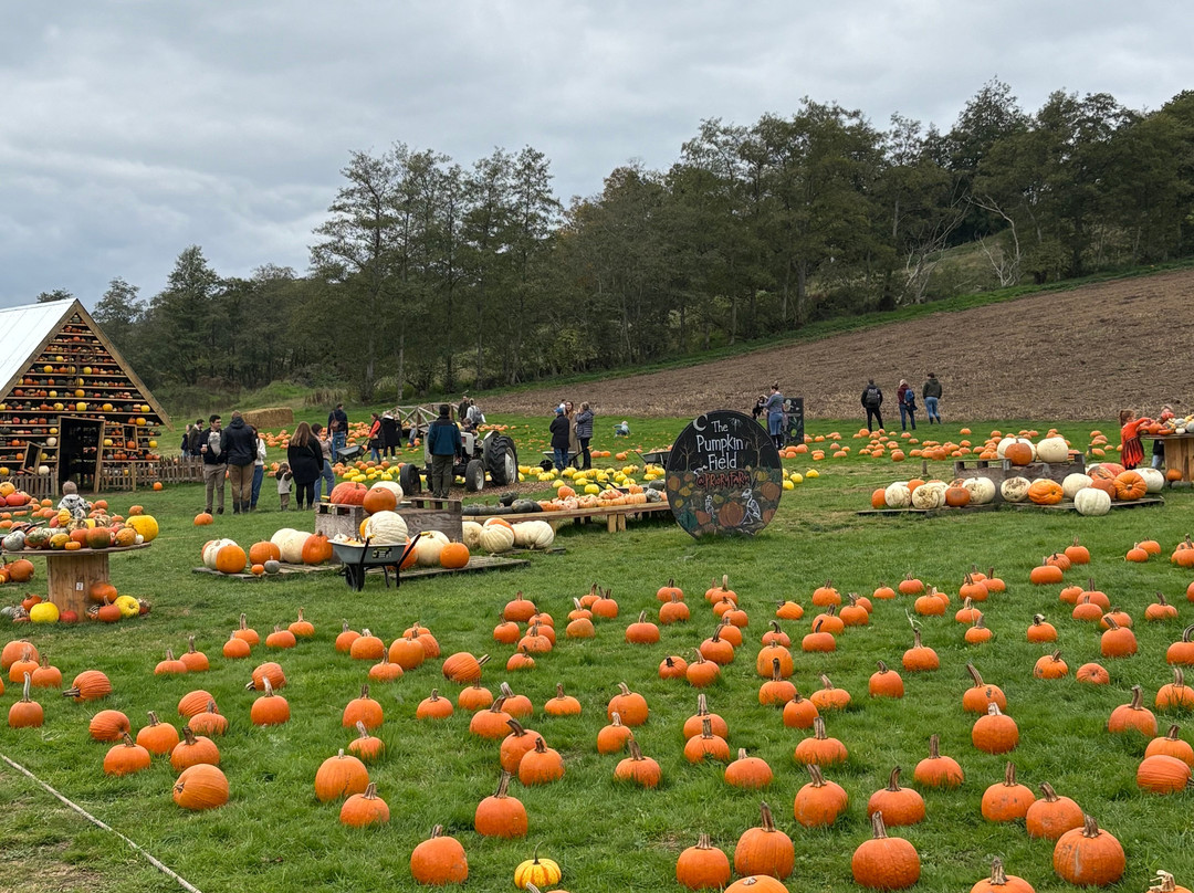 Discovery Land at Priory Farm-Nutfield必去景点
