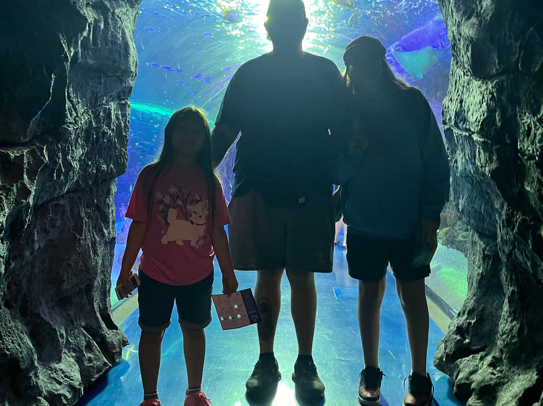Aquarium At The Boardwalk-布兰森必去景点