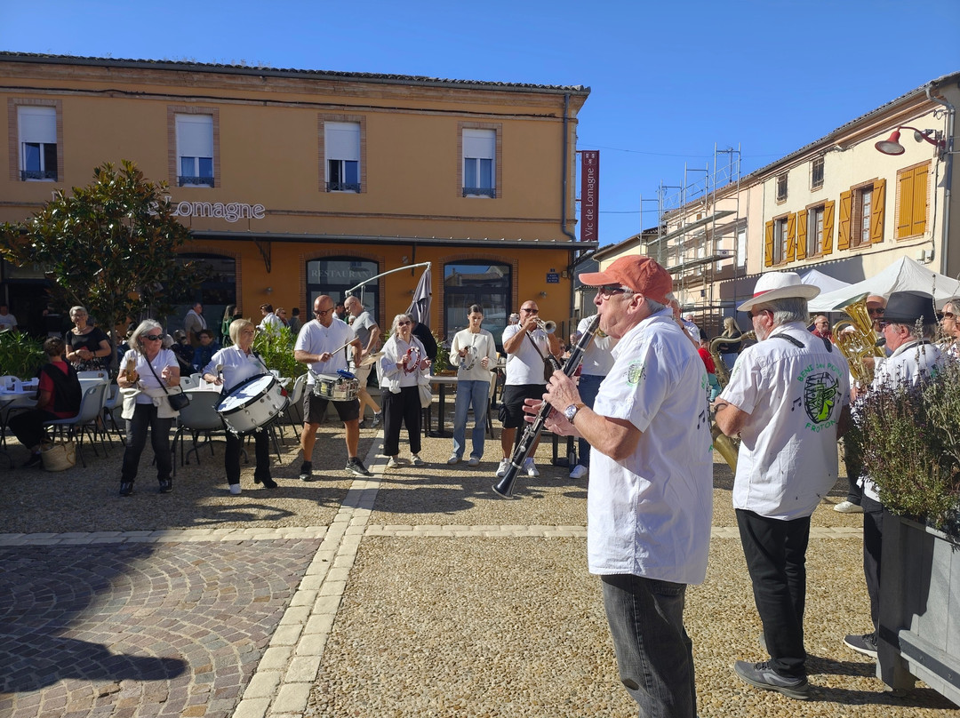 Mansonville餐馆和美食-Le Vic de Lomagne