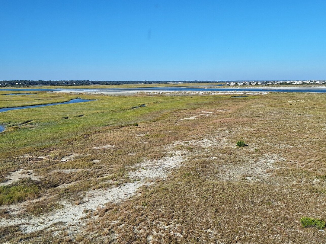 Shell Island Resort主图