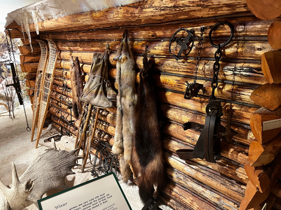 George Johnston Museum-Teslin必去景点