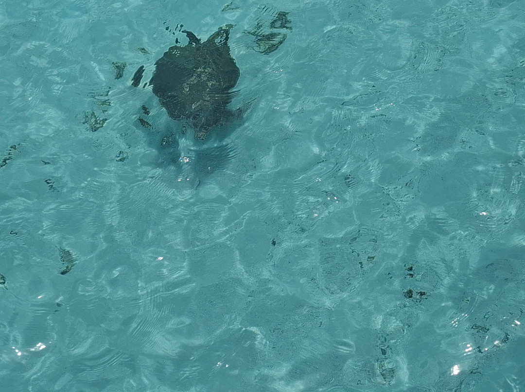 Gadifuri - Kedhigandu Causeway-Gadifuri必去景点