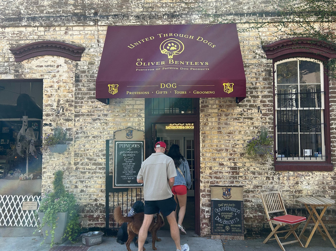 Oliver Bentleys Historic Dog Walk Tour-萨凡纳必去景点