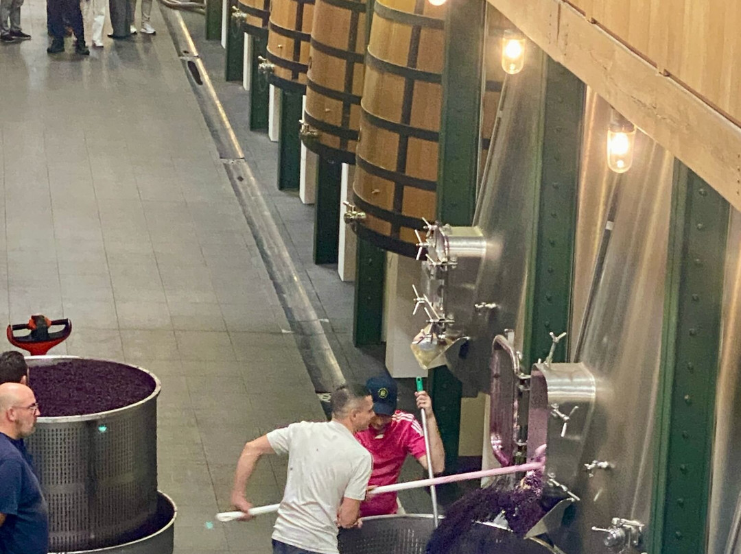 Chateau Mouton Rothschild-波亚克必去景点