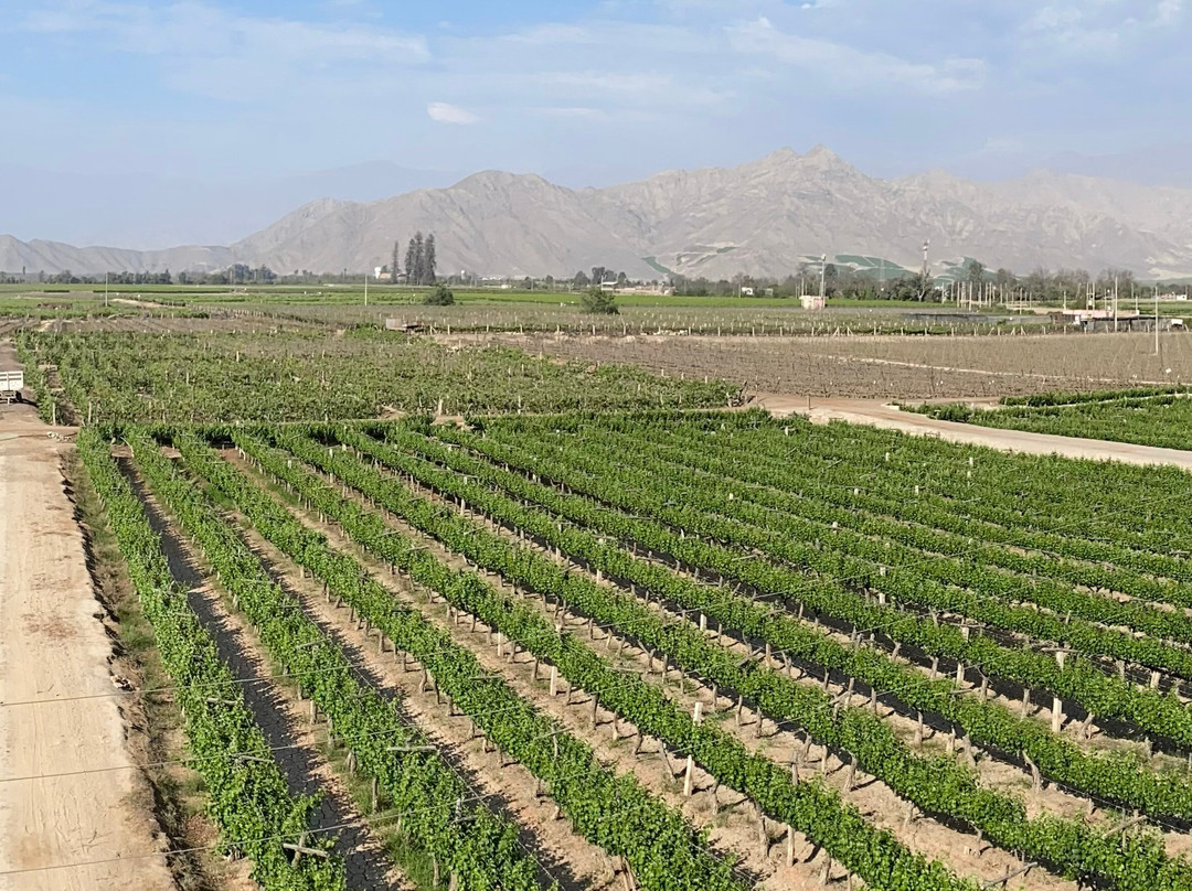 Tacama-伊卡必去景点