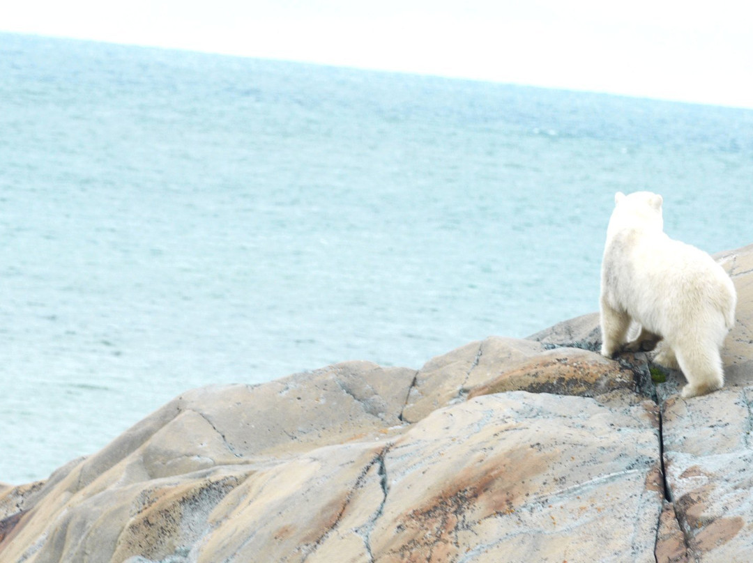 Lazy Bear Lodge主图