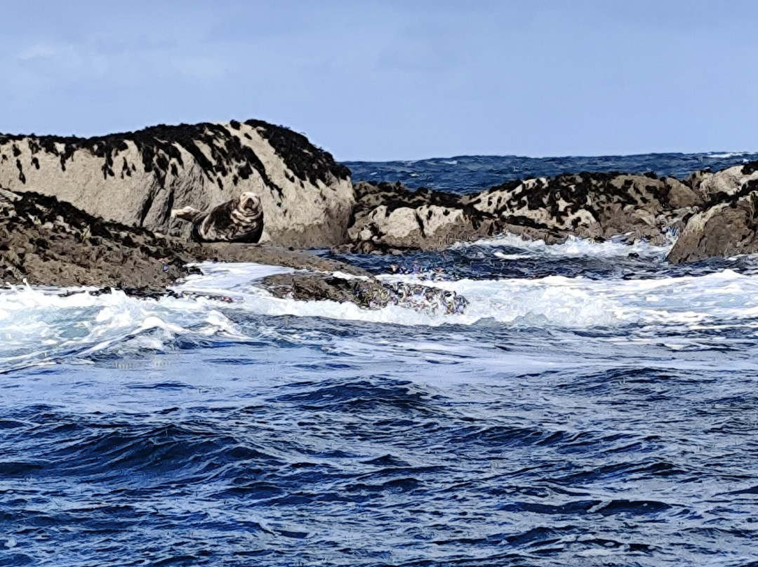 Aber Wrac'h Odyssée-Landeda必去景点