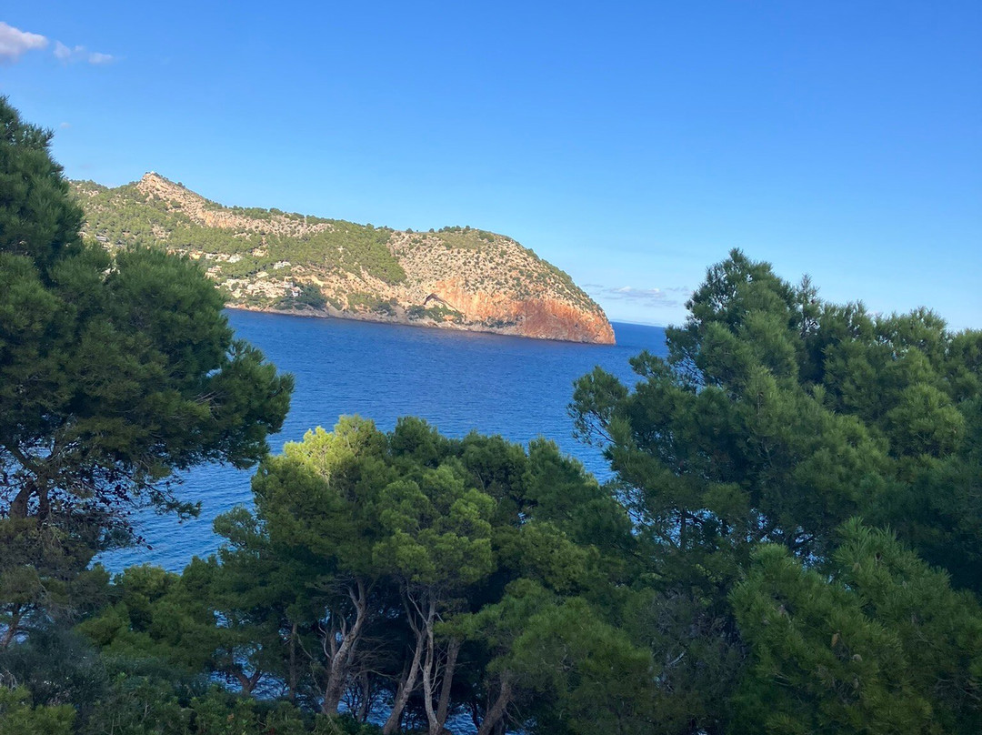 Bugs Buggy Mallorca Adventure-Cala Ratjada必去景点