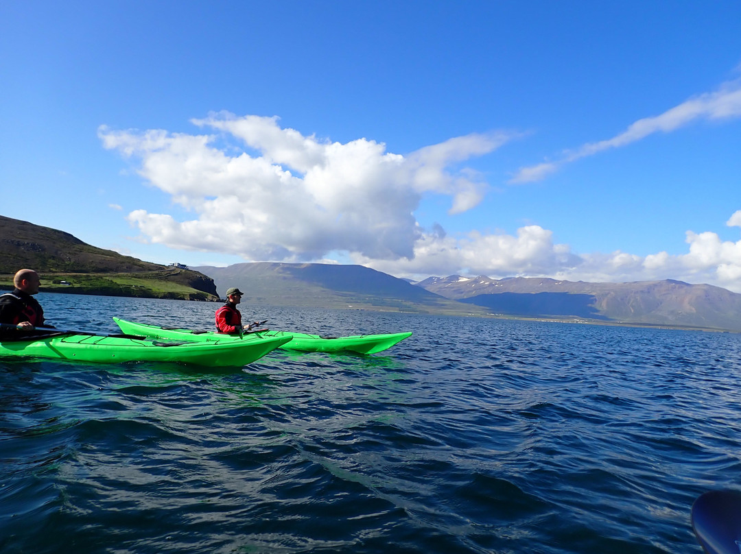 CapeTours-Grenivik必去景点