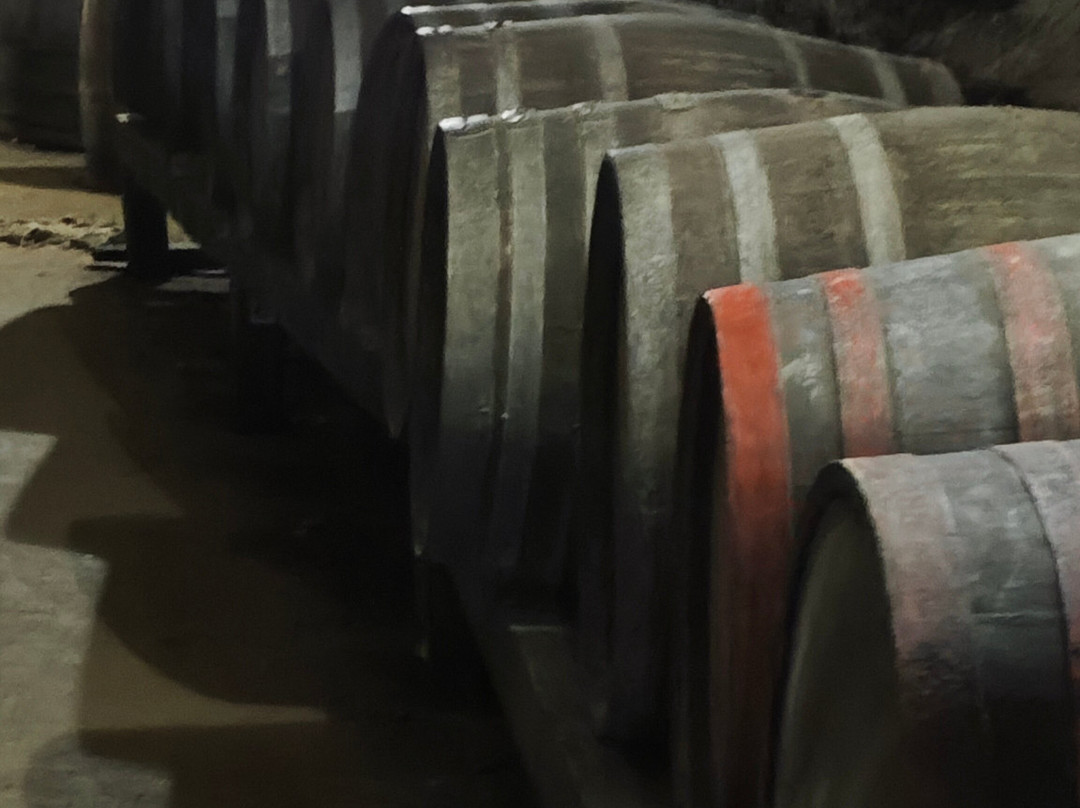 Kordopulova House-梅尔尼克必去景点