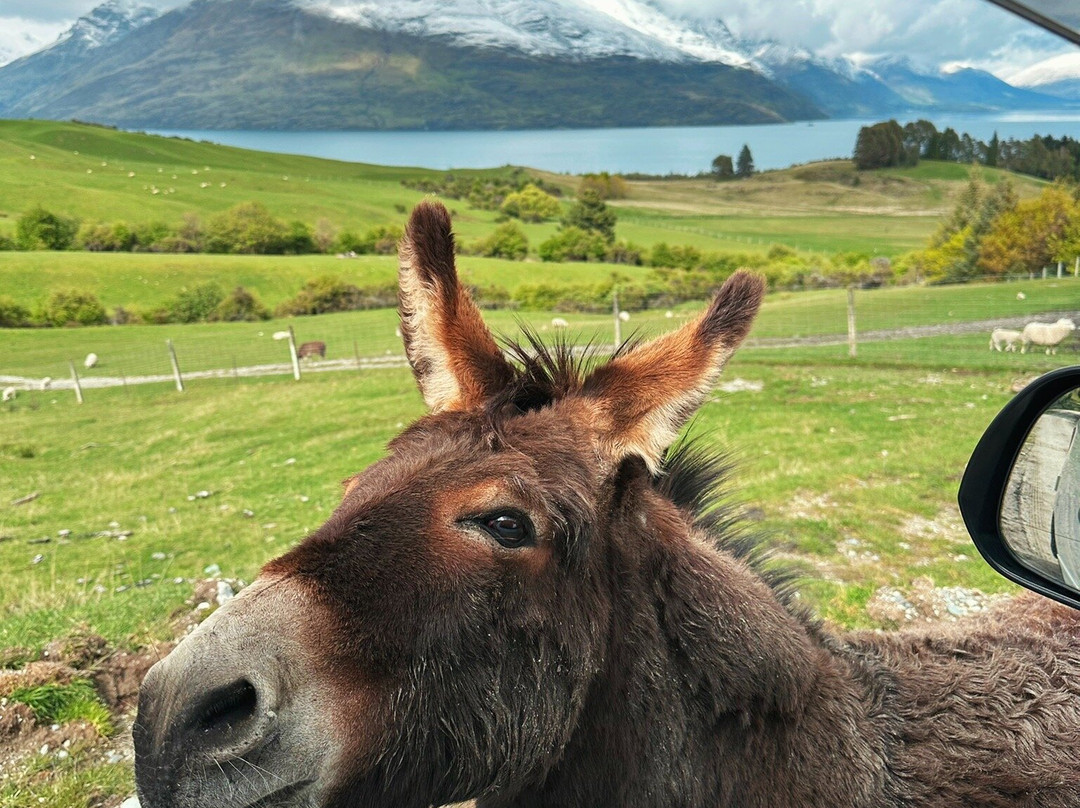 Deer Park Heights-皇后镇必去景点