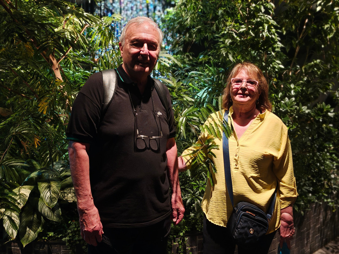 Israelity travel-特拉维夫必去景点