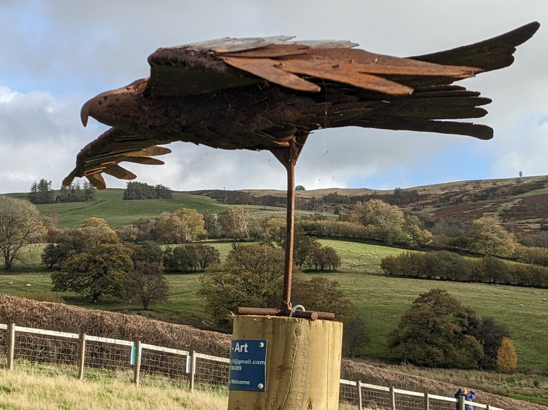 Gigrin Farm Red Kite Feeding Centre-Rhayader必去景点