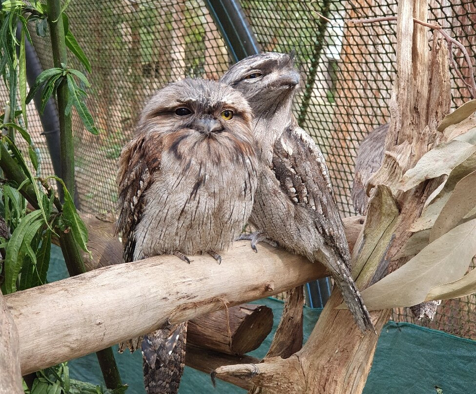 Pepper Bush Adventures - Day Tours-Scottsdale必去景点