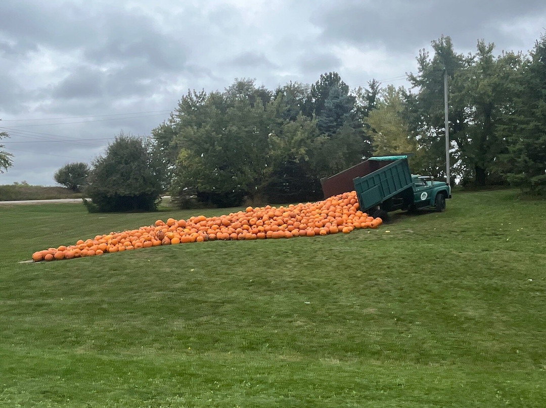 Maple Grove Farm-Mulmur必去景点
