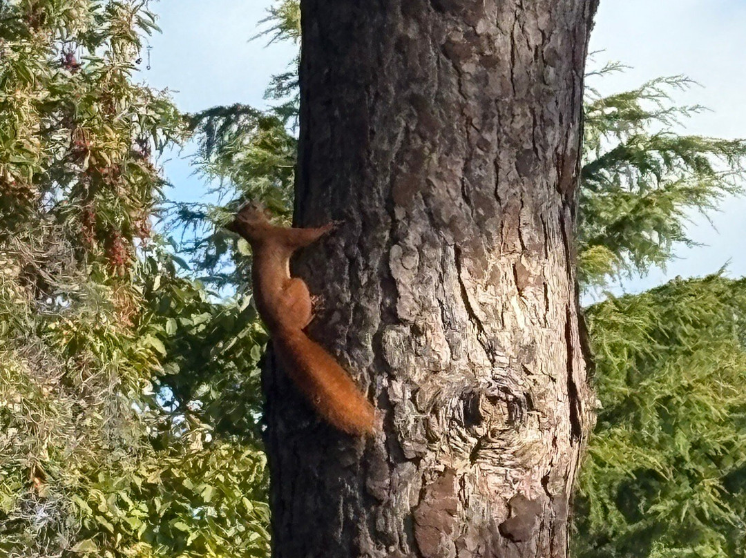 Ventnor Botanic Garden-文特诺必去景点