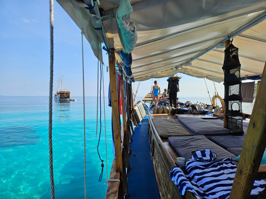 Fanie Boat Tours-科莫多必去景点