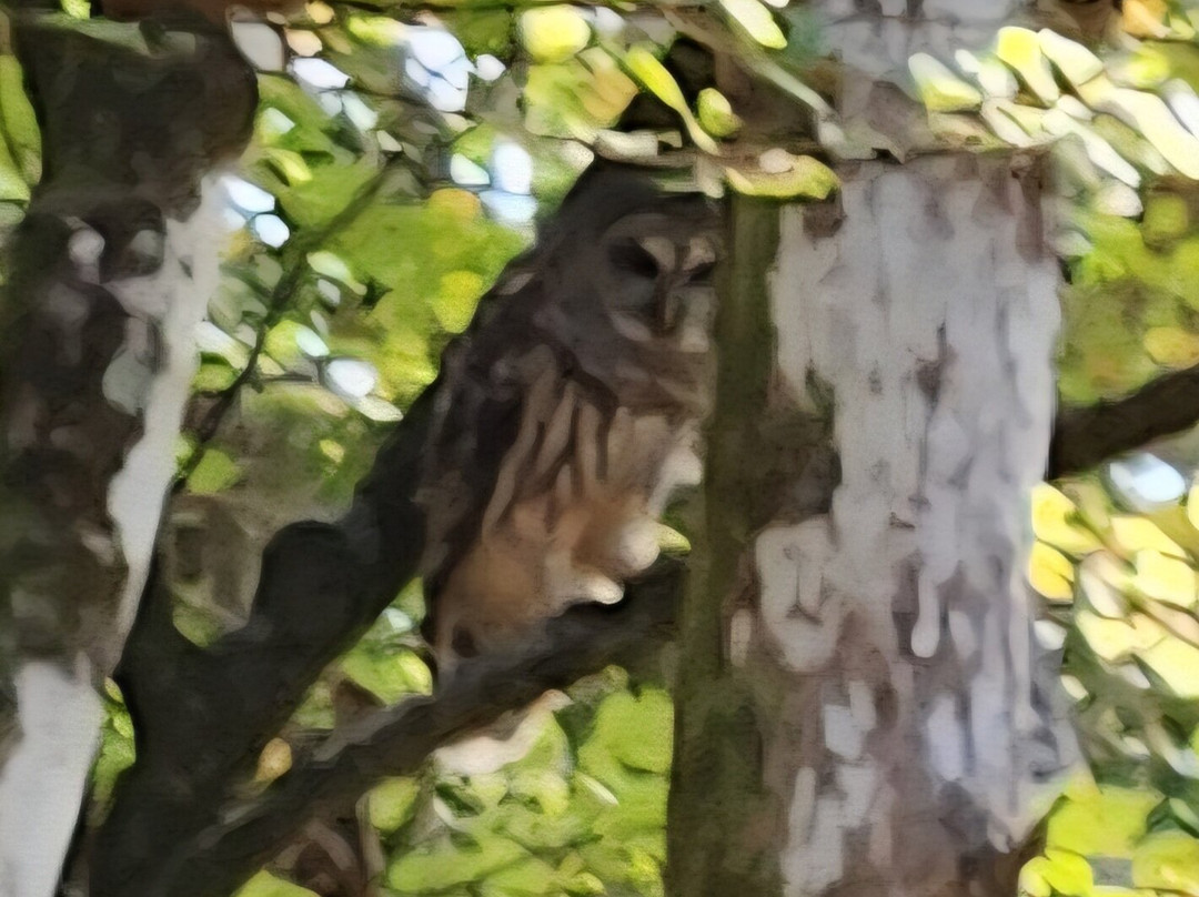 Carolina Outdoor Adventures-厄莫必去景点