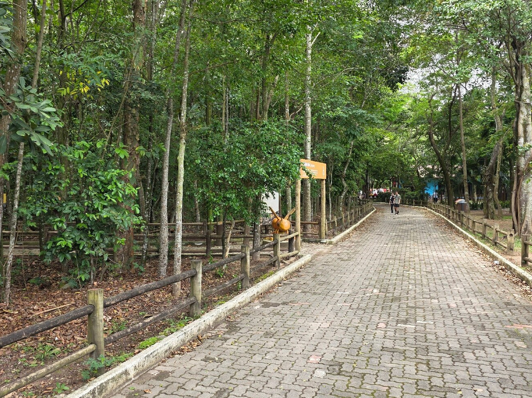 Parque Botânico Vale-维多利亚必去景点