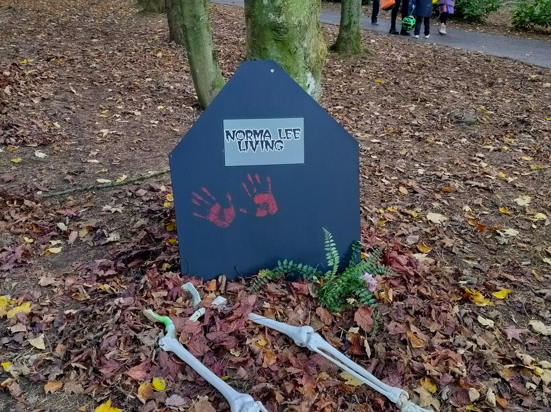 Lightwater Valley Family Adventure Park-North Stainley必去景点