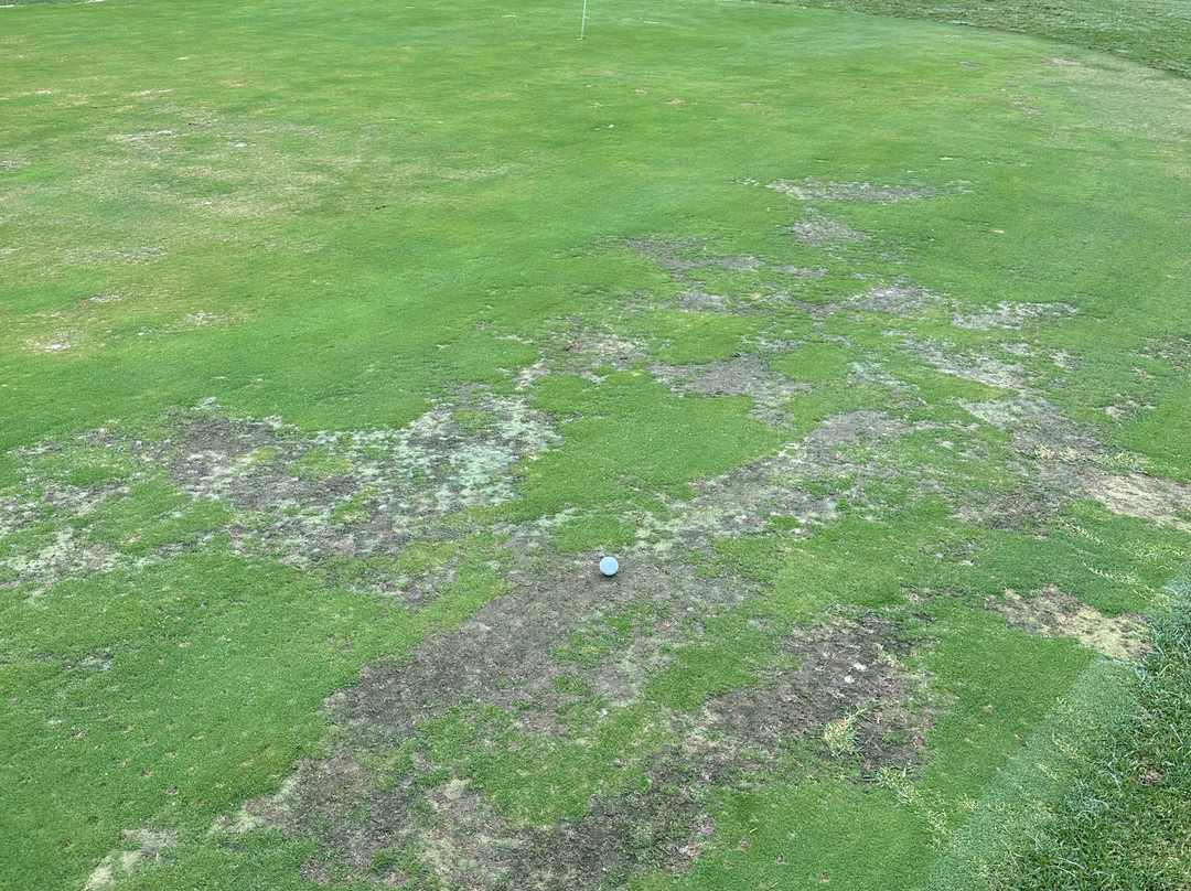 Golf Son Parc Menorca-Son Parc必去景点