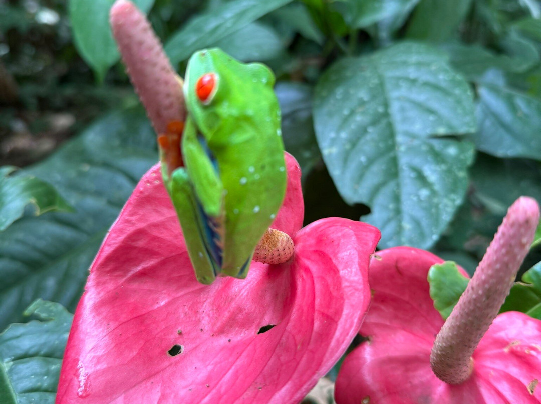 Life Time Travel-萨迪纳尔必去景点