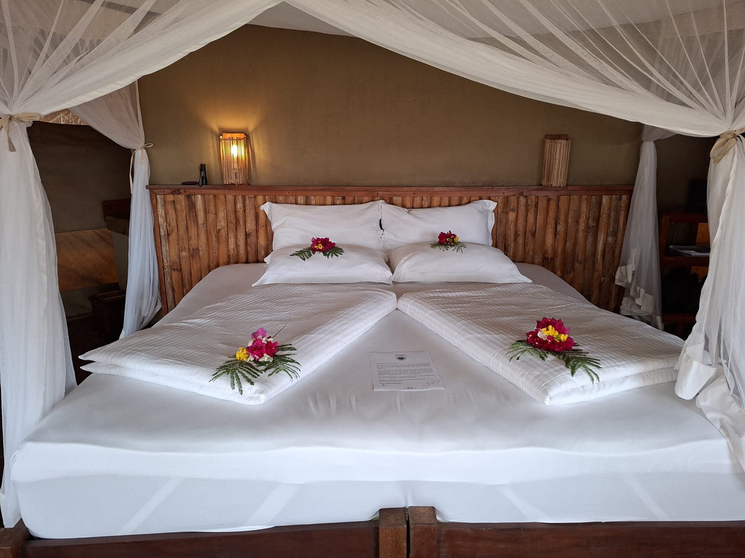 Southern Cross Safaris-温德和克必去景点