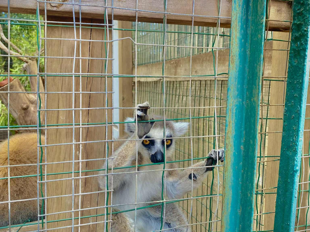 Croc Parc-L'Etang-Sale必去景点