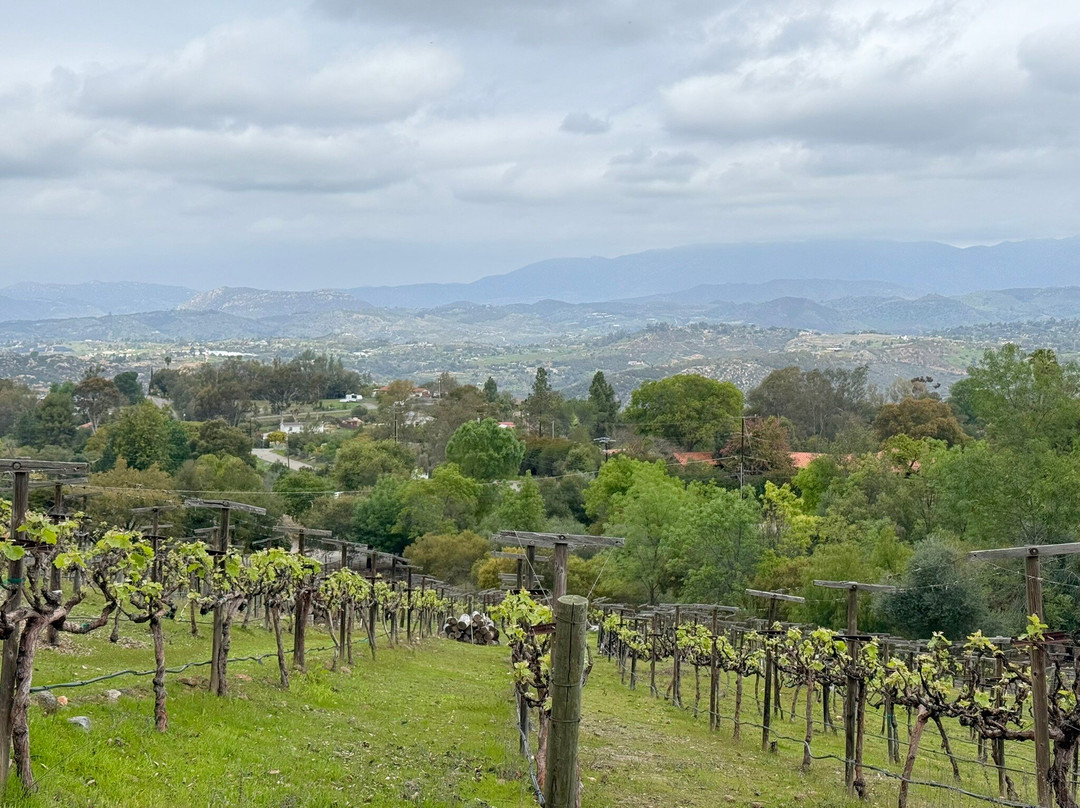 Espinosa Vineyards-埃斯孔迪多必去景点