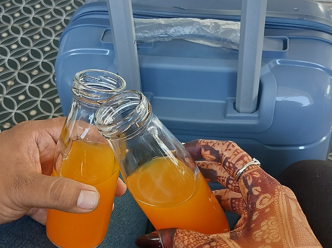 The Fern Seaside Luxurious Tent Resort Daman主图