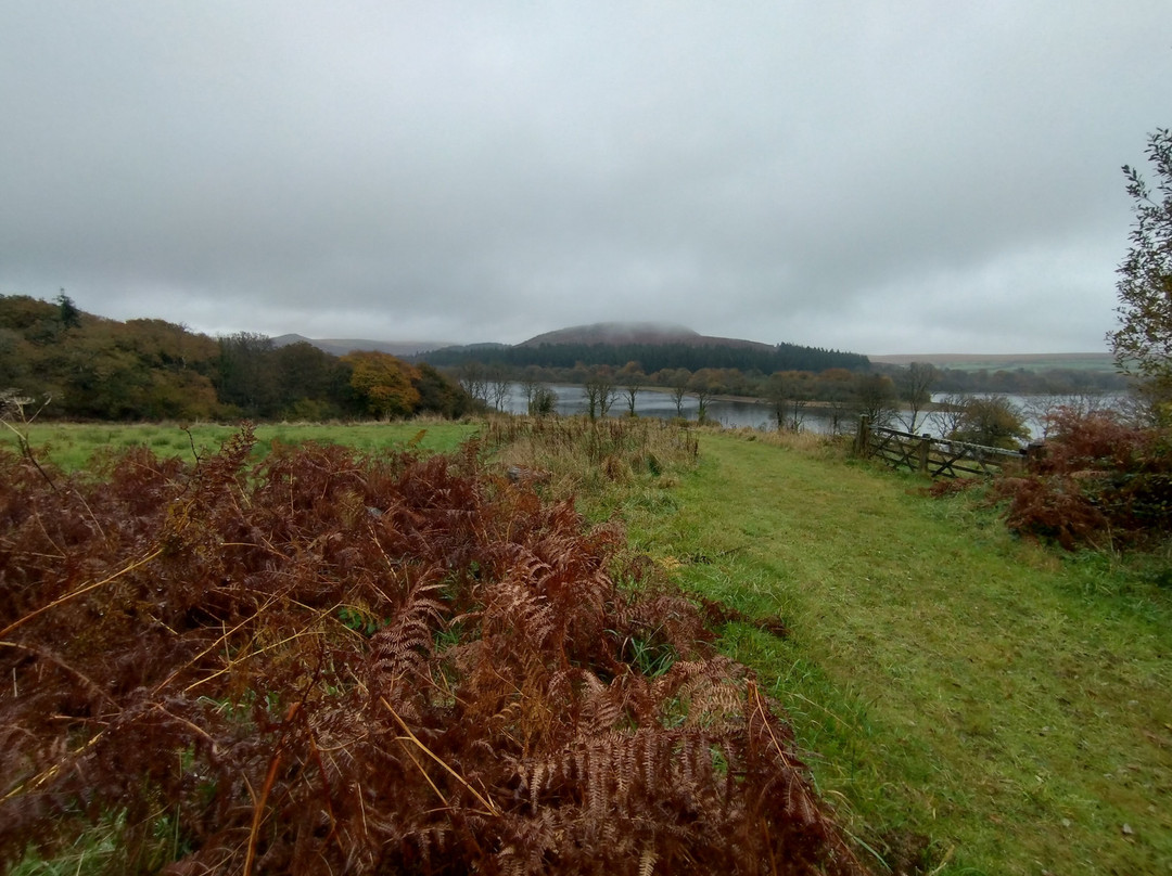 Burrator Reservoir-Yelverton必去景点