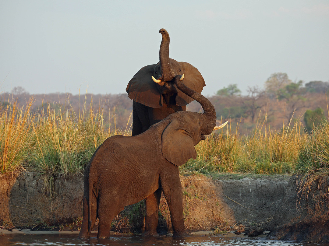 Africa's Best Adventures-开普敦必去景点