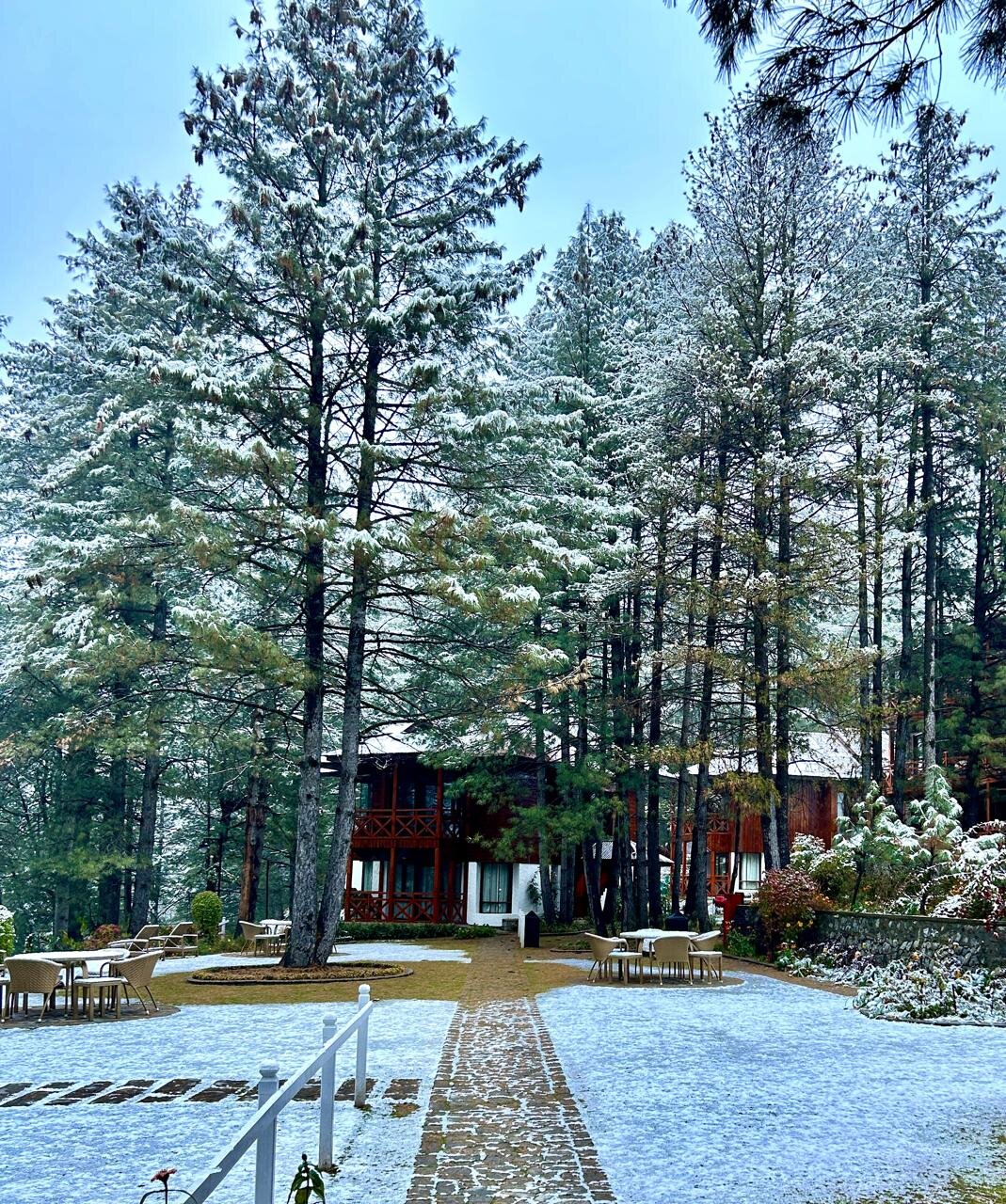 Welcomhotel By Itc Hotels, Pine N Peak-浴室