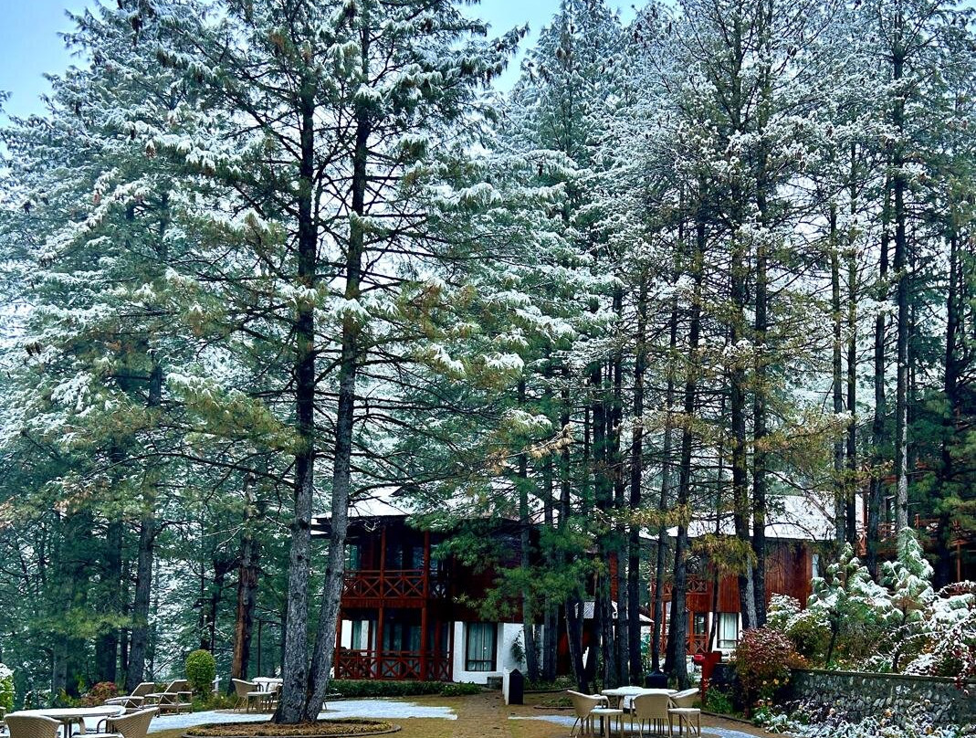 Welcomhotel By Itc Hotels, Pine N Peak主图