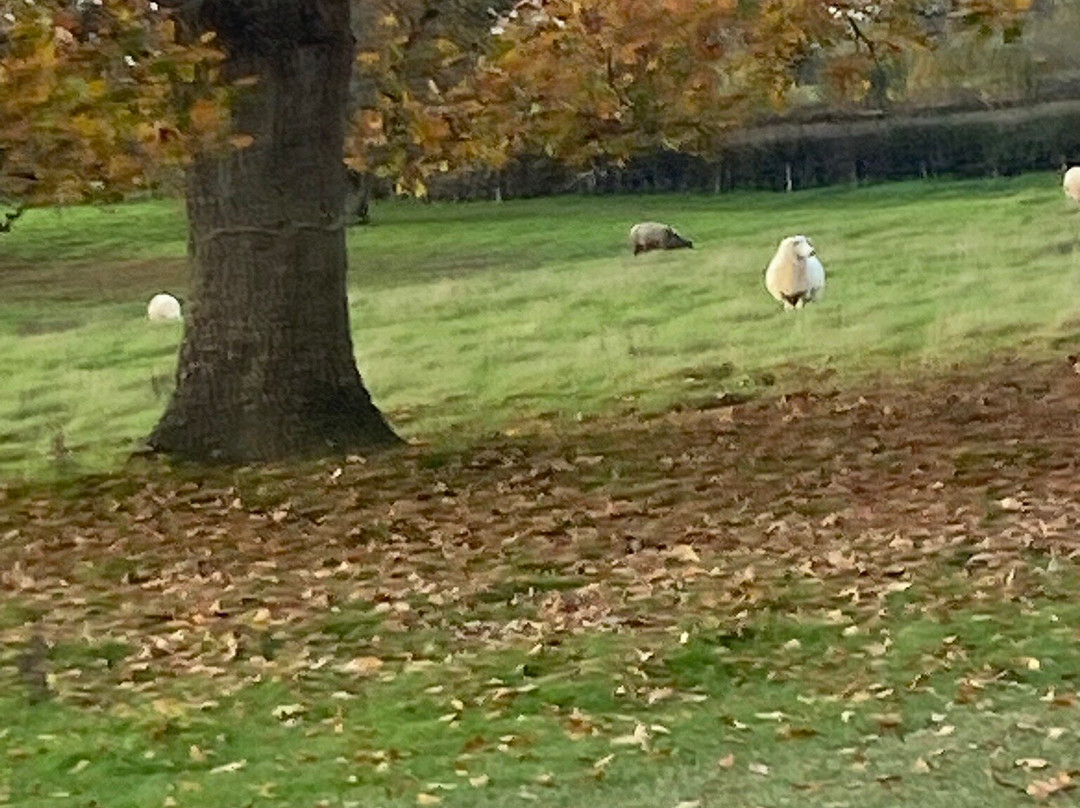 Sissinghurst Castle Estate Walking Trails-Sissinghurst必去景点