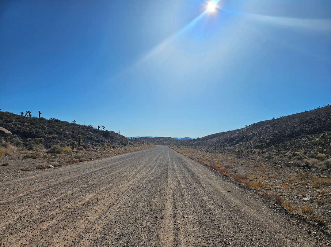 Area 51-Rachel必去景点